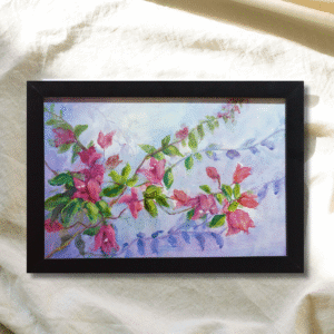 Blush of Bougainvillea